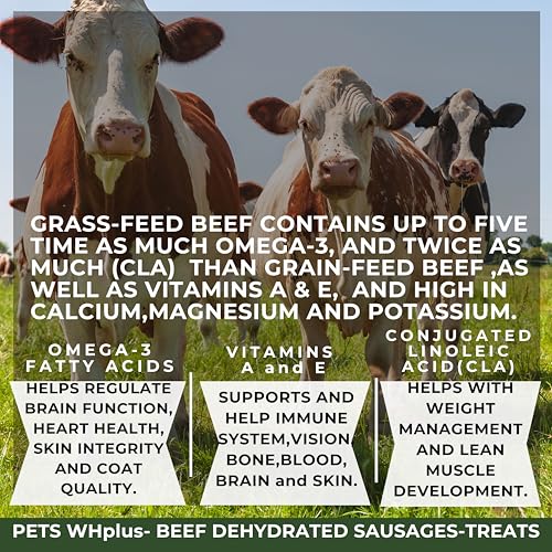 Premium Beef Dehydrated Sausages, 6 Inch/5 Count Pack, 100% All-Natural Dog Treats.
