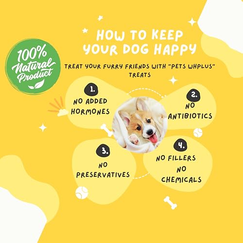 Premium Beef Dehydrated Sausages, 6 Inch/5 Count Pack, 100% All-Natural Dog Treats.